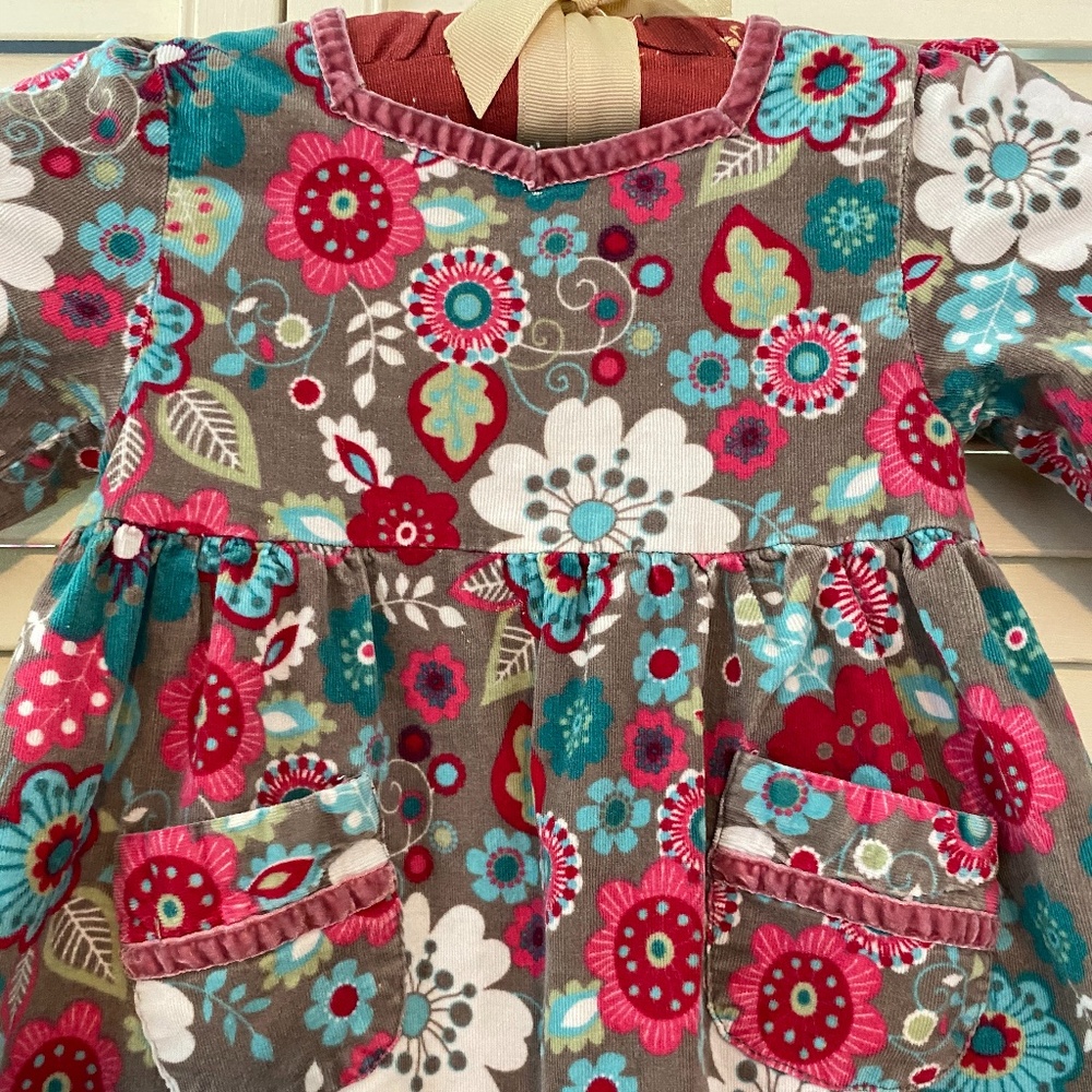 Pumpkin Patch Super Soft Corduroy Fall / Winter Flower Print Dress